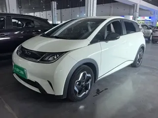 BYD Dolphin 2024 купить из Китая, цена 1 510 000 ₽ — Suifenhe Auto