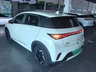 BYD Dolphin 2024 купить из Китая, цена 1 510 000 ₽ — Suifenhe Auto