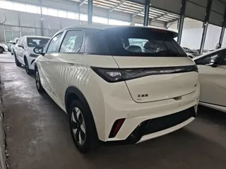 BYD Dolphin 2026 купить из Китая, цена 1 774 000 ₽ — Suifenhe Auto