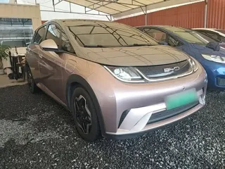 BYD Dolphin 2022 купить из Китая, цена 1 428 000 ₽ — Suifenhe Auto