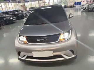 BYD Dolphin 2023 купить из Китая, цена 3 136 000 ₽ — Suifenhe Auto