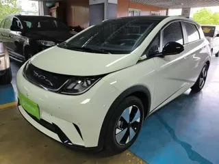 BYD Dolphin 2024 купить из Китая, цена 1 639 000 ₽ — Suifenhe Auto