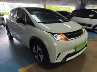 BYD Dolphin 2024 купить из Китая, цена 1 639 000 ₽ — Suifenhe Auto