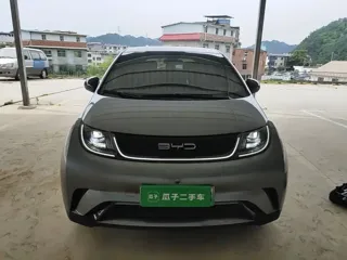 BYD Dolphin 2023 купить из Китая, цена 1 407 000 ₽ — Suifenhe Auto