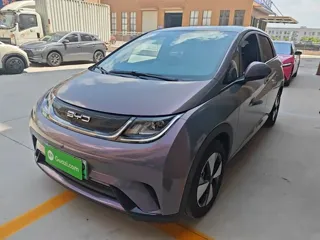 BYD Dolphin 2023 купить из Китая, цена 1 479 000 ₽ — Suifenhe Auto