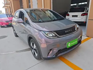 BYD Dolphin 2023 купить из Китая, цена 1 479 000 ₽ — Suifenhe Auto