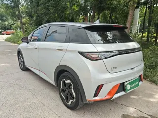 BYD Dolphin 2022 купить из Китая, цена 1 414 000 ₽ — Suifenhe Auto