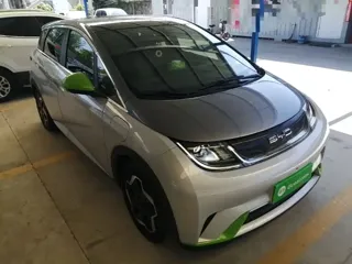 BYD Dolphin 2022 купить из Китая, цена 1 323 000 ₽ — Suifenhe Auto