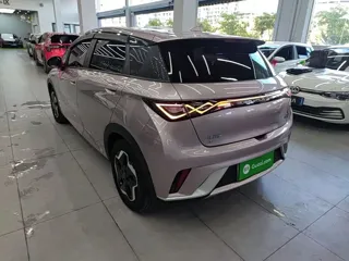 BYD Dolphin 2022 купить из Китая, цена 1 361 000 ₽ — Suifenhe Auto