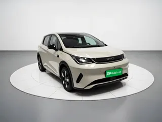 BYD Dolphin 2025 купить из Китая, цена 2 884 000 ₽ — Suifenhe Auto