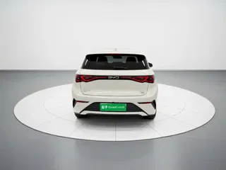 BYD Dolphin 2025 купить из Китая, цена 2 884 000 ₽ — Suifenhe Auto
