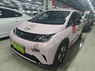 BYD Dolphin 2024 купить из Китая, цена 1 612 000 ₽ — Suifenhe Auto