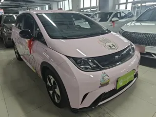 BYD Dolphin 2024 купить из Китая, цена 1 612 000 ₽ — Suifenhe Auto