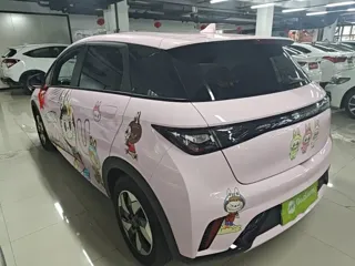 BYD Dolphin 2024 купить из Китая, цена 1 612 000 ₽ — Suifenhe Auto