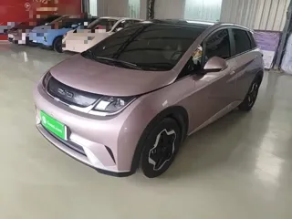 BYD Dolphin 2022 купить из Китая, цена 1 332 000 ₽ — Suifenhe Auto