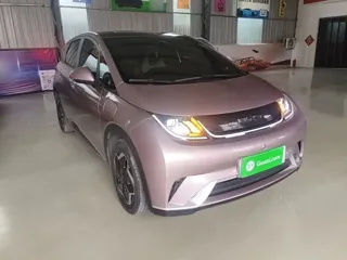 BYD Dolphin 2022 купить из Китая, цена 1 332 000 ₽ — Suifenhe Auto