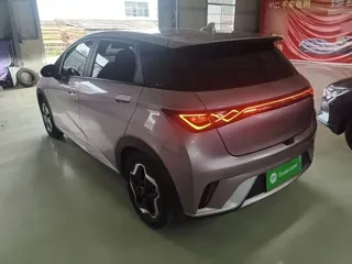 BYD Dolphin 2022 купить из Китая, цена 1 332 000 ₽ — Suifenhe Auto