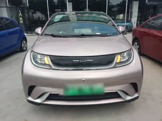 BYD Dolphin 2023 купить из Китая, цена 1 605 000 ₽ — Suifenhe Auto