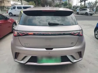 BYD Dolphin 2023 купить из Китая, цена 1 605 000 ₽ — Suifenhe Auto