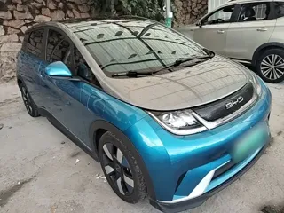 BYD Dolphin 2022 купить из Китая, цена 2 992 000 ₽ — Suifenhe Auto
