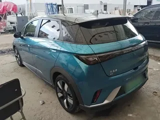 BYD Dolphin 2022 купить из Китая, цена 2 992 000 ₽ — Suifenhe Auto
