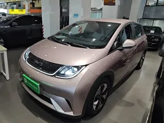 BYD Dolphin 2024 купить из Китая, цена 1 548 000 ₽ — Suifenhe Auto