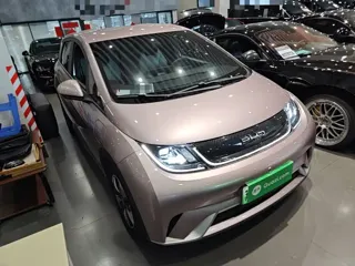 BYD Dolphin 2024 купить из Китая, цена 1 548 000 ₽ — Suifenhe Auto