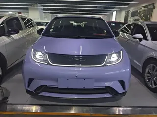 BYD Dolphin 2023 купить из Китая, цена 1 418 000 ₽ — Suifenhe Auto