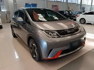 BYD Dolphin 2022 купить из Китая, цена 1 345 000 ₽ — Suifenhe Auto