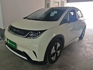 BYD Dolphin 2023 купить из Китая, цена 1 537 000 ₽ — Suifenhe Auto