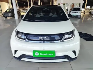 BYD Dolphin 2025 купить из Китая, цена 1 666 000 ₽ — Suifenhe Auto