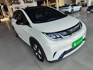 BYD Dolphin 2025 купить из Китая, цена 1 666 000 ₽ — Suifenhe Auto