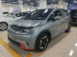 BYD Dolphin 2022 купить из Китая, цена 1 338 000 ₽ — Suifenhe Auto