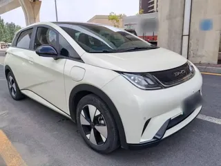 BYD Dolphin 2023 купить из Китая, цена 1 596 000 ₽ — Suifenhe Auto