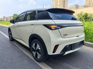 BYD Dolphin 2023 купить из Китая, цена 1 596 000 ₽ — Suifenhe Auto