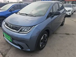 BYD Dolphin 2025 купить из Китая, цена 1 701 000 ₽ — Suifenhe Auto