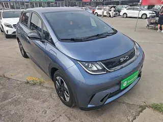 BYD Dolphin 2025 купить из Китая, цена 1 701 000 ₽ — Suifenhe Auto