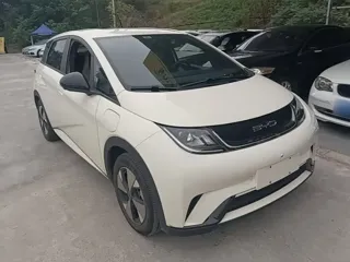 BYD Dolphin 2023 купить из Китая, цена 1 458 000 ₽ — Suifenhe Auto