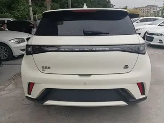 BYD Dolphin 2023 купить из Китая, цена 1 458 000 ₽ — Suifenhe Auto