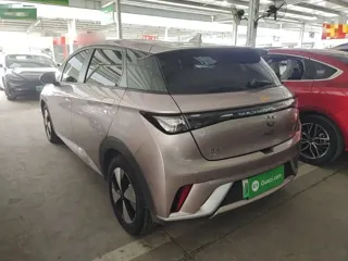 BYD Dolphin 2024 купить из Китая, цена 1 430 000 ₽ — Suifenhe Auto
