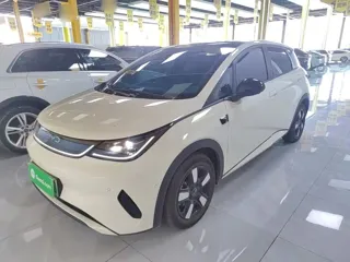 BYD Dolphin 2025 купить из Китая, цена 2 917 000 ₽ — Suifenhe Auto