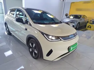BYD Dolphin 2025 купить из Китая, цена 2 917 000 ₽ — Suifenhe Auto