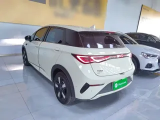 BYD Dolphin 2025 купить из Китая, цена 2 917 000 ₽ — Suifenhe Auto