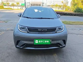 BYD Dolphin 2023 купить из Китая, цена 1 367 000 ₽ — Suifenhe Auto
