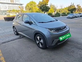 BYD Dolphin 2023 купить из Китая, цена 1 367 000 ₽ — Suifenhe Auto