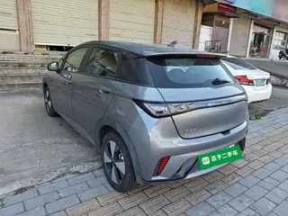 BYD Dolphin 2023 купить из Китая, цена 1 367 000 ₽ — Suifenhe Auto
