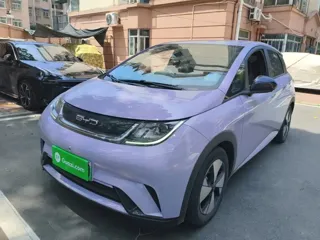 BYD Dolphin 2023 купить из Китая, цена 1 505 000 ₽ — Suifenhe Auto