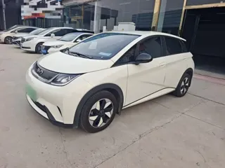 BYD Dolphin 2025 купить из Китая, цена 1 681 000 ₽ — Suifenhe Auto