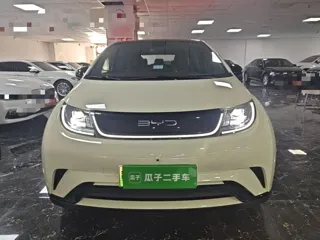 BYD Dolphin 2023 купить из Китая, цена 1 530 000 ₽ — Suifenhe Auto