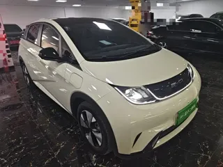 BYD Dolphin 2023 купить из Китая, цена 1 530 000 ₽ — Suifenhe Auto